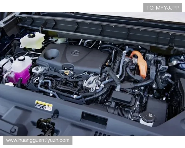 皇冠旗舰平台怎么样：最新版本更新带来的用户体验改善