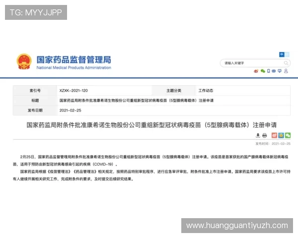 安博在线登录安全性分析提升账号安全的实用建议与防护措施